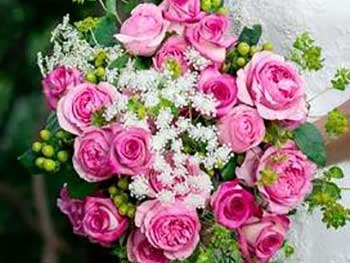 Ruidoso Flower Shop Picture