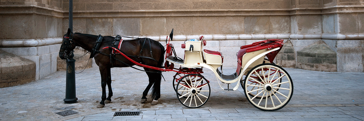 Transportation Picture